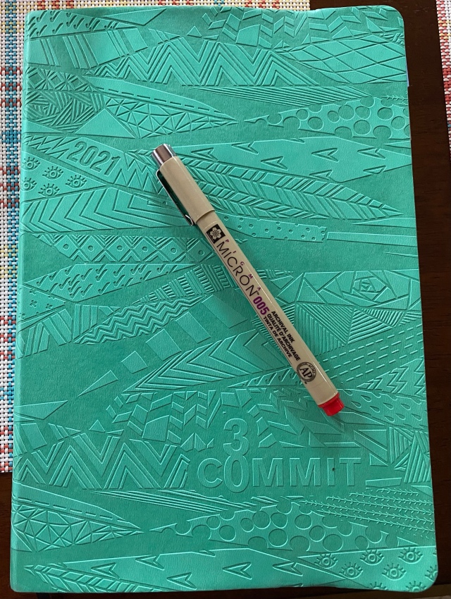 Commit 30 Planner Review – Grounding Fitness